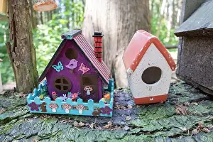 Arbol Prints: Collection of birdhouses made by children and placed on fallen trees in the forest