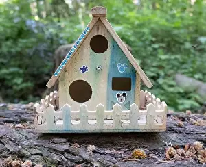 Arbol Prints: Collection of birdhouses made by children and placed on fallen trees in the forest