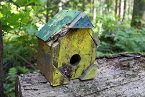 Arbol Prints: Collection of birdhouses made by children and placed on fallen trees in the forest