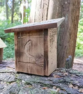 Arbol Prints: Collection of birdhouses made by children and placed on fallen trees in the forest