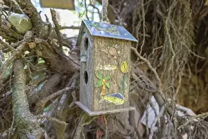 Arbol Prints: Collection of birdhouses made by children and placed on fallen trees in the forest