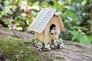 Arbol Prints: Collection of birdhouses made by children and placed on fallen trees in the forest