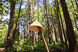 Birdhouse Prints: Collection of birdhouses made by children and placed on fallen trees in the forest