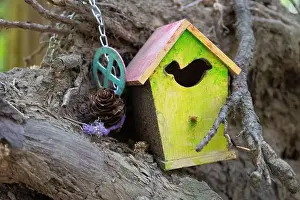 Arbol Prints: Collection of birdhouses made by children and placed on fallen trees in the forest