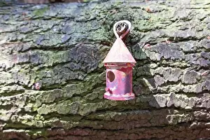Arbol Prints: Collection of birdhouses made by children and placed on fallen trees in the forest