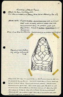 Observations Prints: This collection of field notes from an expedition to Mexico documents observations on the country's geography