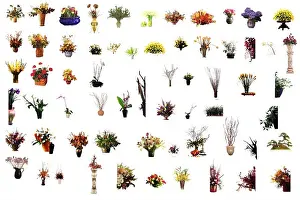 Rubber Prints: collection of flower houseplants