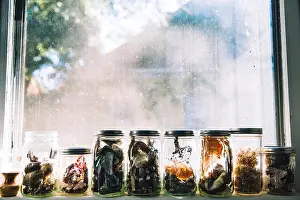 Collection of mason jars