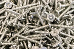 Carpenter Prints: Collection of Screws in bucket