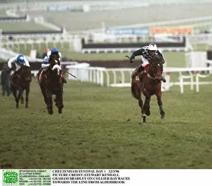 Graham Prints: COLLIER BAY RIDDEN BY GRAHAM BRADLEY 20 March 1996