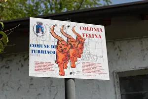 Animal Care Prints: Colonia felina, a cat shelter in Turriaco, Friuli Venezia Giulia, Italy