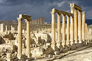 Outdoor Shots Prints: Colonnade, Gerasa, Jordan