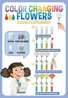Eps10 Prints: Color Changing Flowers Science Experiment illustration