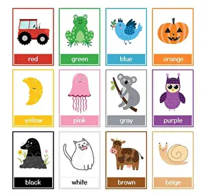 Koala Prints: Color flashcards set with cute animals. Color names and pictures collection for preschool