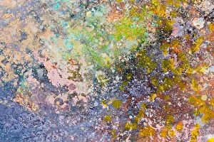 Artistic Collection: Color texture. Fragment of artwork. Spots of oil paint. Brushstr