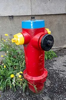 Hydrant Prints: A colored hydrant in downtown Montreal-Canada