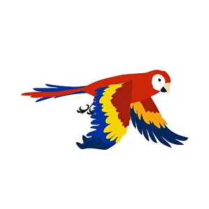 Spreading Prints: Colorful ara flying vector illustration