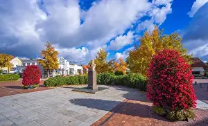 Lietuva Prints: Colorful autumn landscape panorama at Birstonas resort