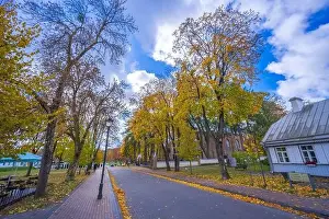Lietuva Prints: Colorful autumn landscape panorama at Birstonas resort