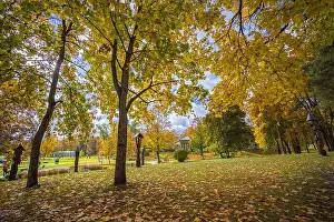 Lietuva Prints: Colorful autumn landscape panorama at Birstonas resort