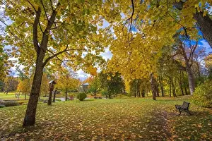 Lietuva Prints: Colorful autumn landscape panorama at Birstonas resort