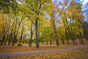 Lietuva Prints: Colorful autumn landscape panorama at Birstonas resort