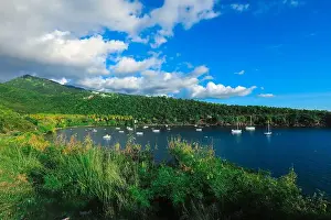Blue Boat Prints: Colorful Bay with the Small Boats among the Green Mountains, Guadeloupe island
