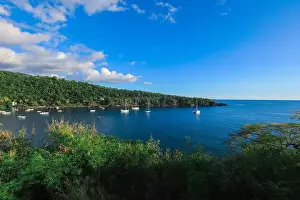 Blue Boat Prints: Colorful Bay with the Small Boats among the Green Mountains, Guadeloupe island