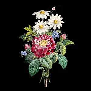 Social Media Graphics Prints: Colorful Blooming Flowers. A bouquet of flowers with lively colors on a black background