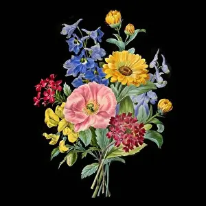 Floral Design Prints: Colorful Blooming Flowers. A bouquet of flowers with lively colors on a black background