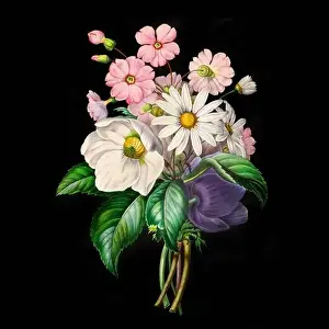 Floral Design Prints: Colorful Blooming Flowers. A bouquet of flowers with lively colors on a black background