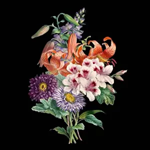 Floral Design Prints: Colorful Blooming Flowers. A bouquet of flowers with lively colors on a black background