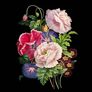 Floral Design Prints: Colorful Blooming Flowers. A bouquet of flowers with lively colors on a black background