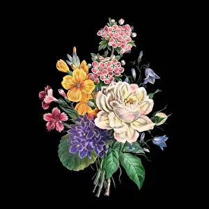 Floral Design Prints: Colorful Blooming Flowers. A bouquet of flowers with lively colors on a black background