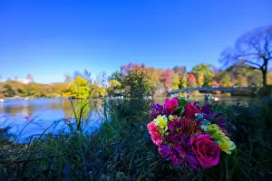 Big Apple Prints: a colorful bouquet by Bow bridge