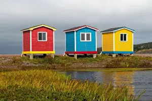 Shed Prints: Three colorful and bright sheds near the ocean with autumn foliage in the foreground