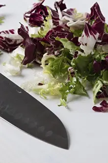 Against White Background Prints: Colorful chopped lettuce on white wooden table with knife
