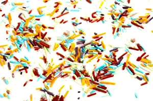 Sprinkle Prints: colorful cupcake sprinkles on a bright background