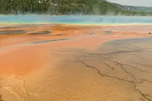 Yellowstone Prints: Colorful cyanobacteria mats surround the Grand Prismatic Spring