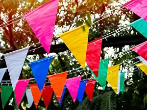 Colorful festival flags hanging in the garden. Beautiful colour of party triangle flags decoration on tree background