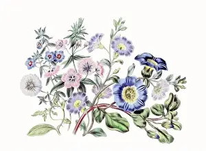 Colorful Flower Illustration: A digital vintage-style flower on a textured white background