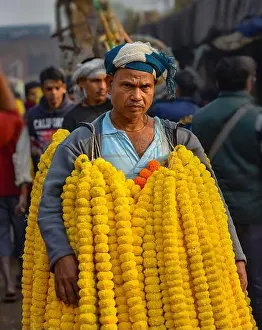 Scent Prints: Colorful flowers sold in bulk at Mullick Ghat flower market Kolkata India