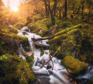 Water Stone Prints: Colorful green forest with little waterfall at mountain river at sunset in autumn