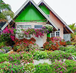 Decorate Prints: Colorful house with beautiful flower hang decorate in the garden