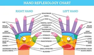 Infographics Prints: Colorful right and left hand reflexology chart with description of corresponding organs