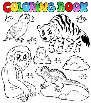 Hyena Prints: Coloring book zoo animals set 2 - picture illustration