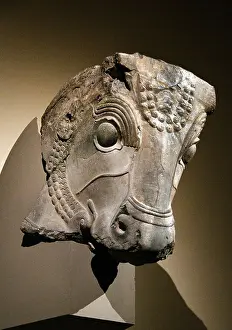 Ancient Architecture Prints: colossal bull's head from a column capital