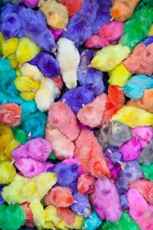 Bait Prints: Colourful chicks for sale at Bait Al Faqih market, Yemen