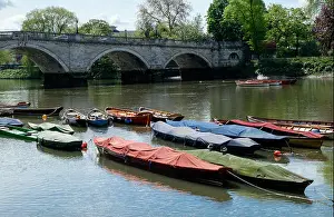 Colourful docked row boats on the River Thames at Richmond