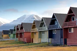 Vest Prints: Colourful houses in front of snow-capped mountains